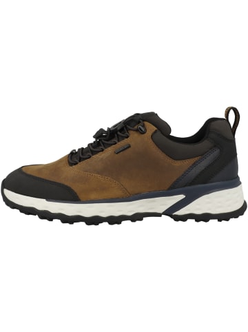 Geox Sneaker low U Sterrato B ABX C in braun