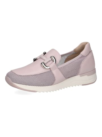 Caprice Slipper Purple