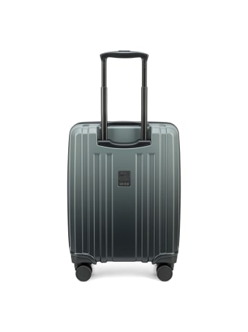 Epic Crate EX Wildlife 4 Rollen Kabinentrolley 55 cm in decendingblack
