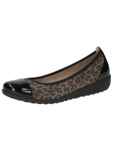 Caprice Ballerina in BLACK LEO COMB
