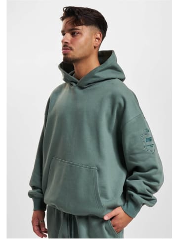 DEF Hoodie "Workation Hoody" in Grün