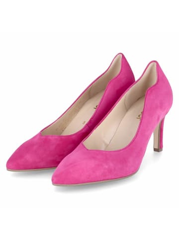 Gabor Pumps in Pink