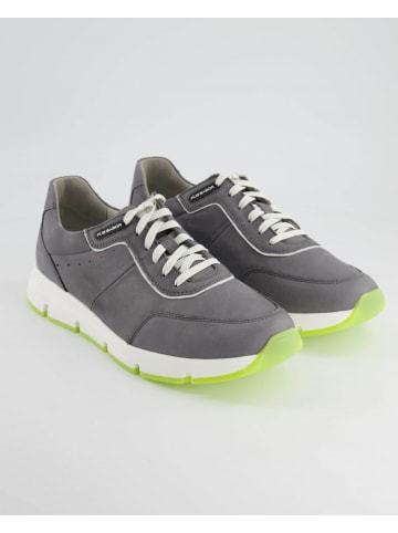 Pius Gabor Sneaker low in Grau