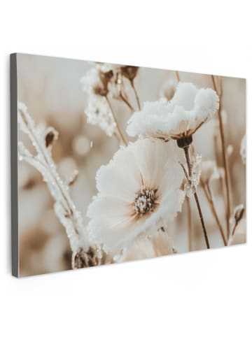 OnlyWow Leinwand Bilder Creme