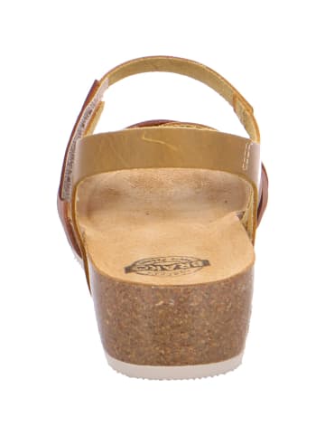 Brako Keilsandalen für Damen in braun