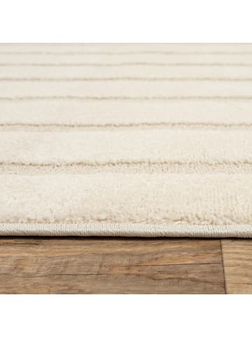 the carpet Kurzflorteppich Everest B in Creme