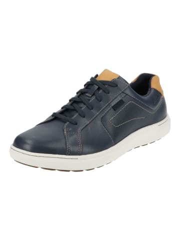 Clarks Sneaker in Navy