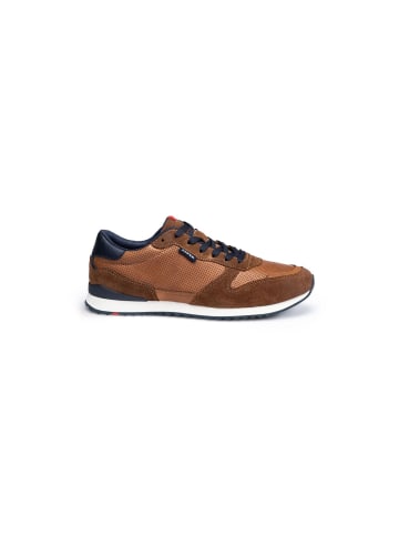 LLOYD Sneaker EDMOND in new nature/marine blue