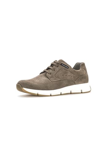 Pius Gabor Sneaker low in beige