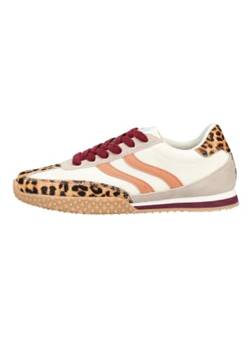 Gioseppo Sneaker in Leopard