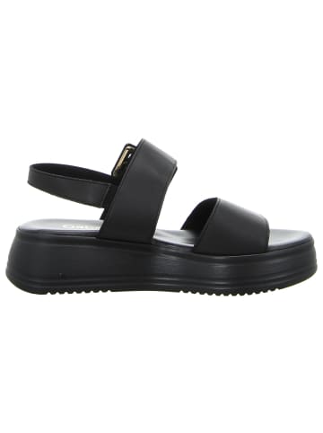Gabor Plateausandaletten in black