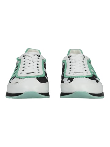 ara Sneaker in Weiß/Schwarz