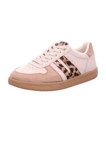Tom Tailor Sneaker Low in Beige