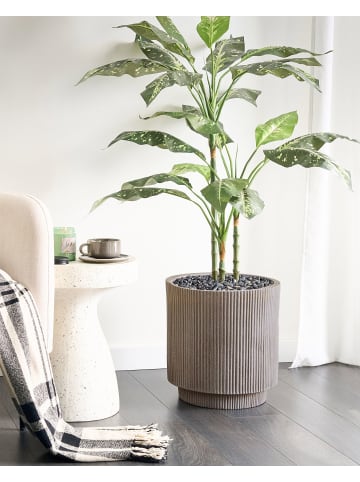 Beliani Outdoor Blumentopf DARIA in Beige - (W) 37 x (H) 37 x (L) 37 cm