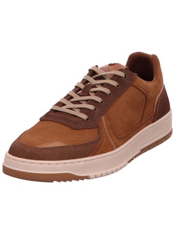 Bullboxer Sneaker in braun