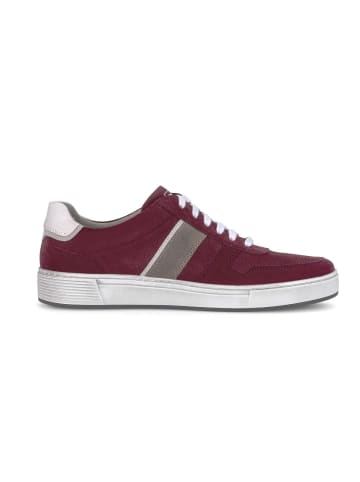 Pius Gabor Sneaker low in rot