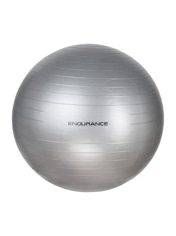 Endurance Gymnastikball in 8889 silver