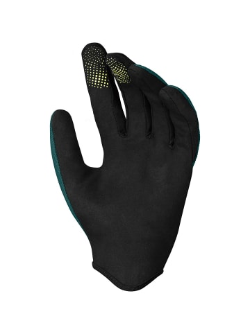 IXS CARVE GLOVES in Grau
