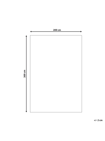 Beliani Shaggy DEMRE in Beige - (W) 200 x (H) 2 x (L) 300 cm