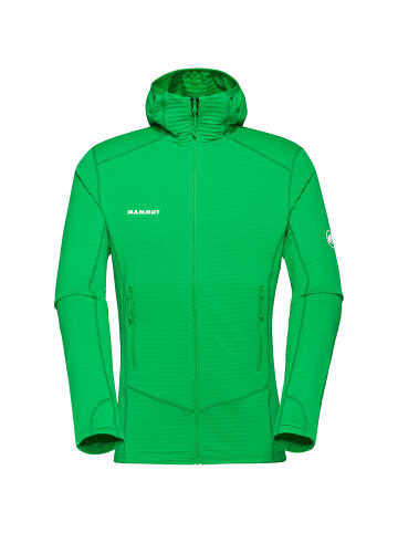 Mammut Taiss Light ML Hooded Jacket Men in Tannengrün216