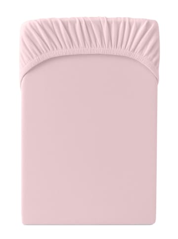 Cats Collection Spannbetttuch Edel-Jersey in rosa