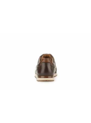 Gabor Sneaker für Herren in braun