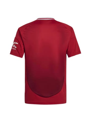adidas Manchester United Fußball - Jr. Heimtrikot 24/25 (red, 176) in rot