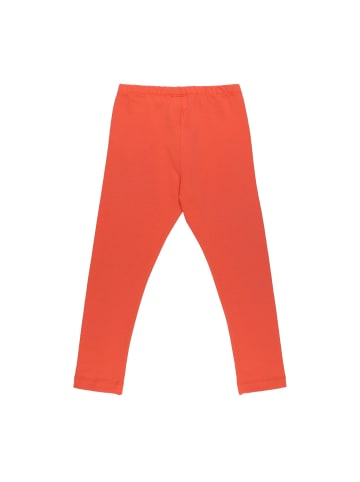 Walkiddy Leggings Langoustine - Leggings