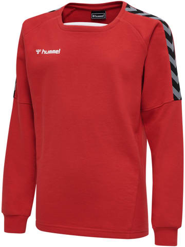 Hummel Hummel Sweatshirt Hmlauthentic Multisport Unisex Kinder in TRUE RED