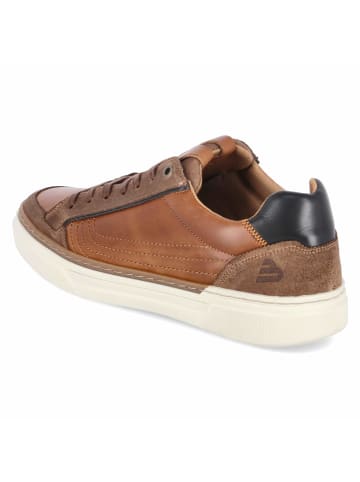Bullboxer Low Sneaker in braun