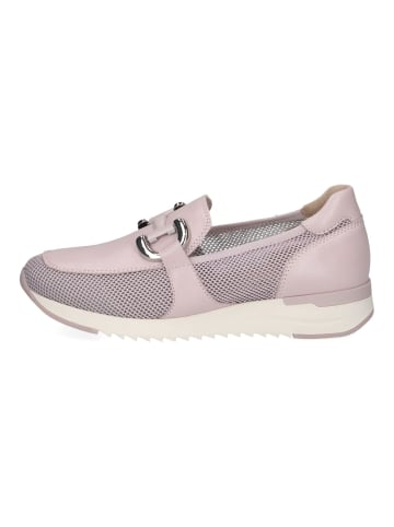 Caprice Slipper Purple