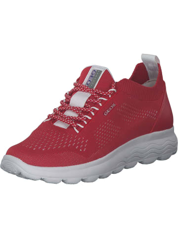 Geox Sneakers Low in Rot