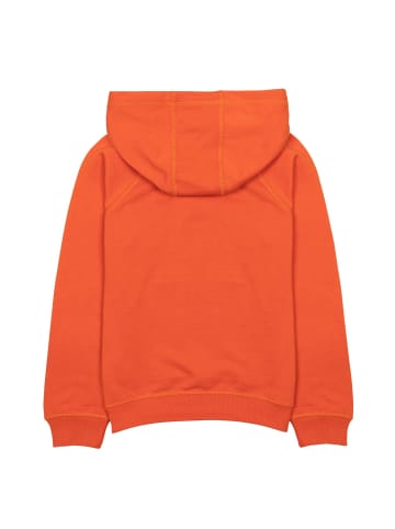 Minoti Hoodies Valley 3 in orange