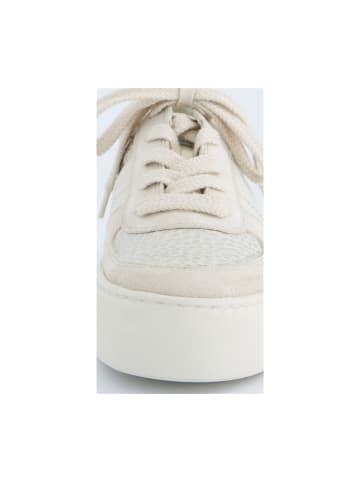 Paul Green Sportliche Schnürschuhe in Silber