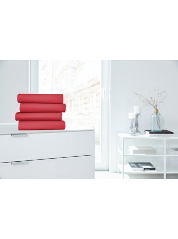 Hahn H.G. Hahn Spannbetttuch Primera Elastan Feinjersey in rot