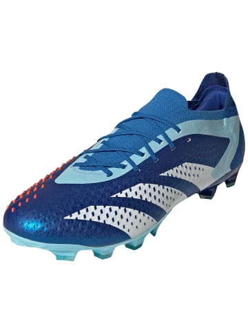 adidas Performance Fußballschuh Predator Accuracy.1 Low in blau / weiß