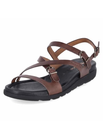 Tamaris Sandalette in brown