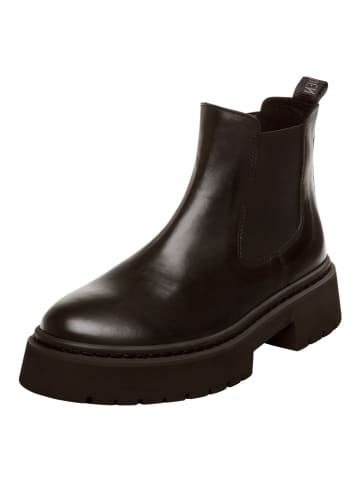 Steve Madden Stiefelette in Schwarz