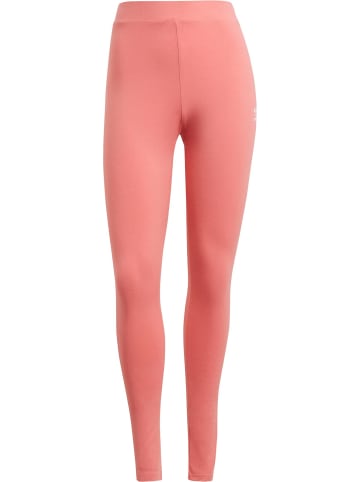 adidas adidas Leggings in multicolored