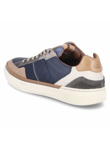 Bullboxer Low Sneaker in blau