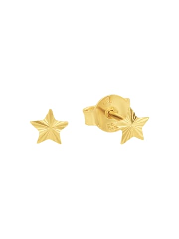 Amor Ohrstecker Gold 585/14 ct in Gold