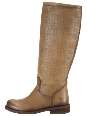 Felmini Stiefel in Dunkelbraun