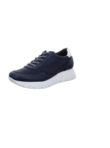 Paul Green Sportliche Schnürschuhe in Blau