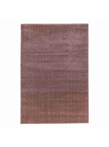Astra Hochflorteppich SAVONA in Aubergine