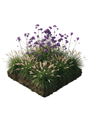 NatureNest Staudenpaket Stella mehrjährig blühend für Beet & Garten in Mix