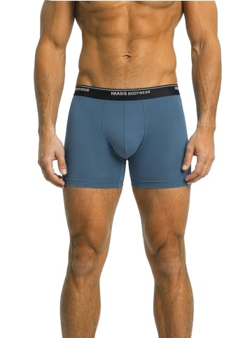 Haasis Bodywear 3er-Set: Pants in rauchblau/flaschengrün/merlot
