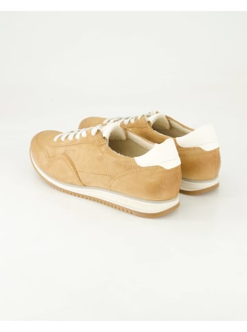 Paul Green Sneaker low in Braun