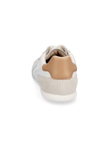 GANT Footwear Sneaker Sperly in Weiß