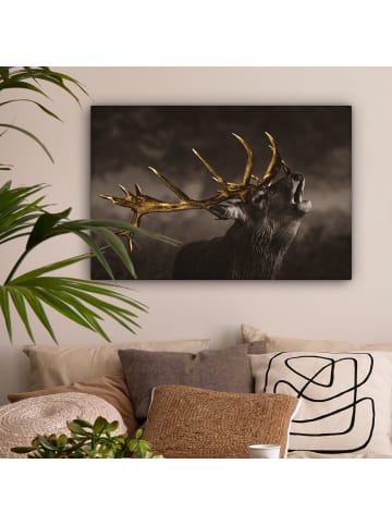OnlyWow Leinwand Bilder Hirsch