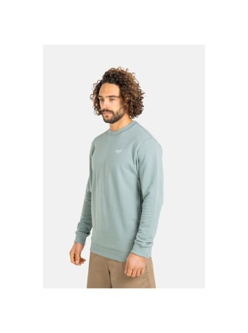 Reell Pullover "Staple Terry Crewneck CO" in Grün